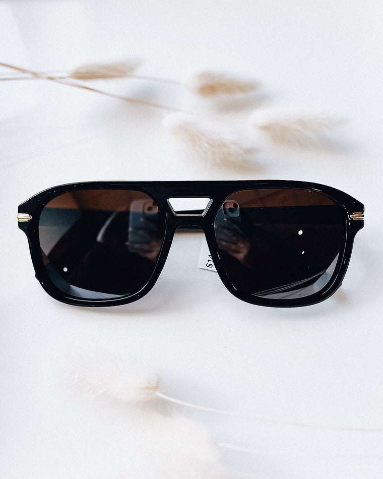 Sammy Sunglasses [blk/brown]