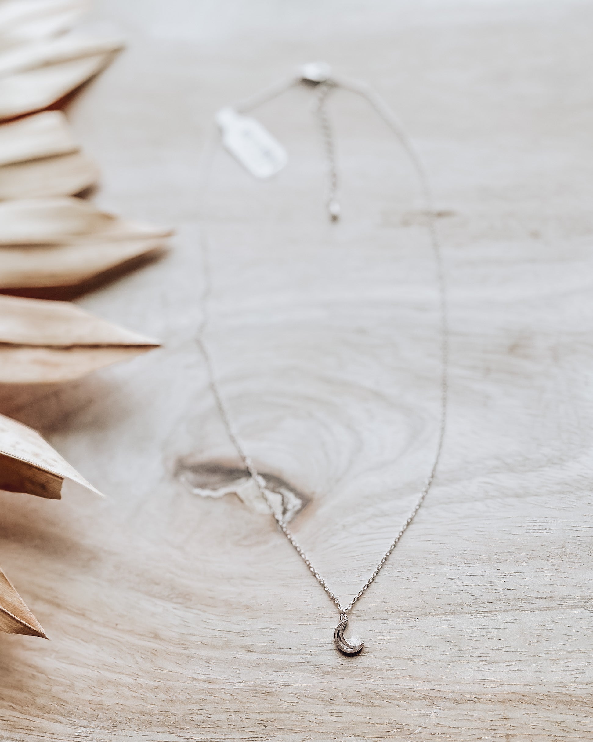 Dainty Crescent Moon Necklace [silver]